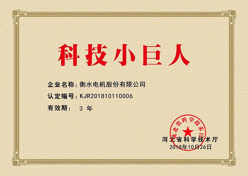 科技小巨人 科技小巨人